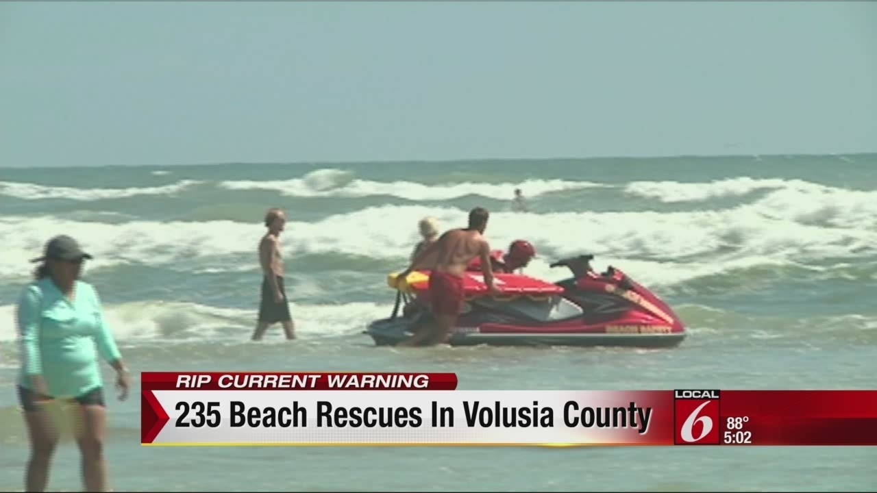 Volusia County Dog Rescue Volusia County Dog Rescue