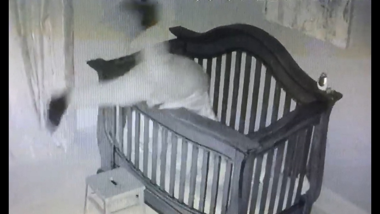 Viral baby cam video shows woman flipping into crib