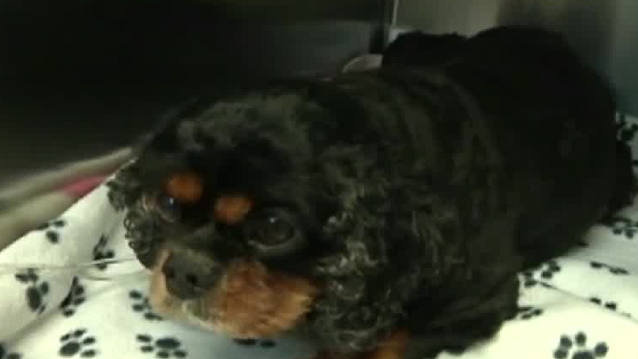 imperial valley used cars for sale