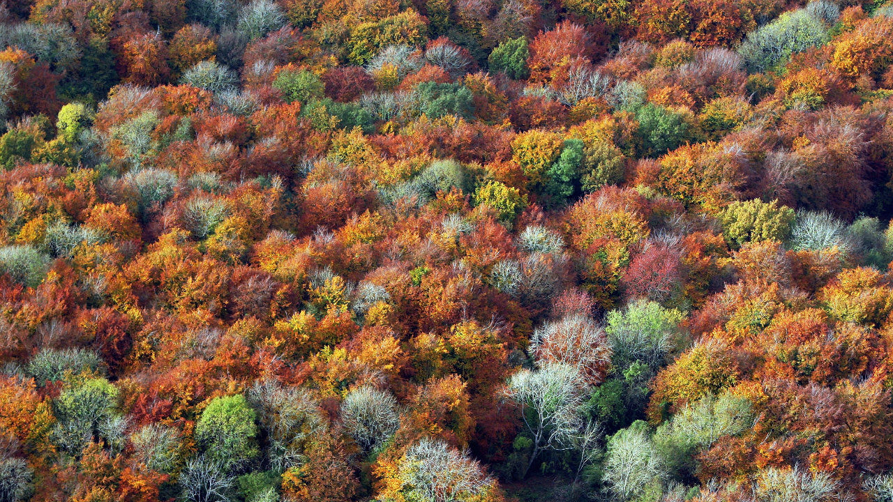 Turning over new leaves: Best places in U.S. to view fall colors
