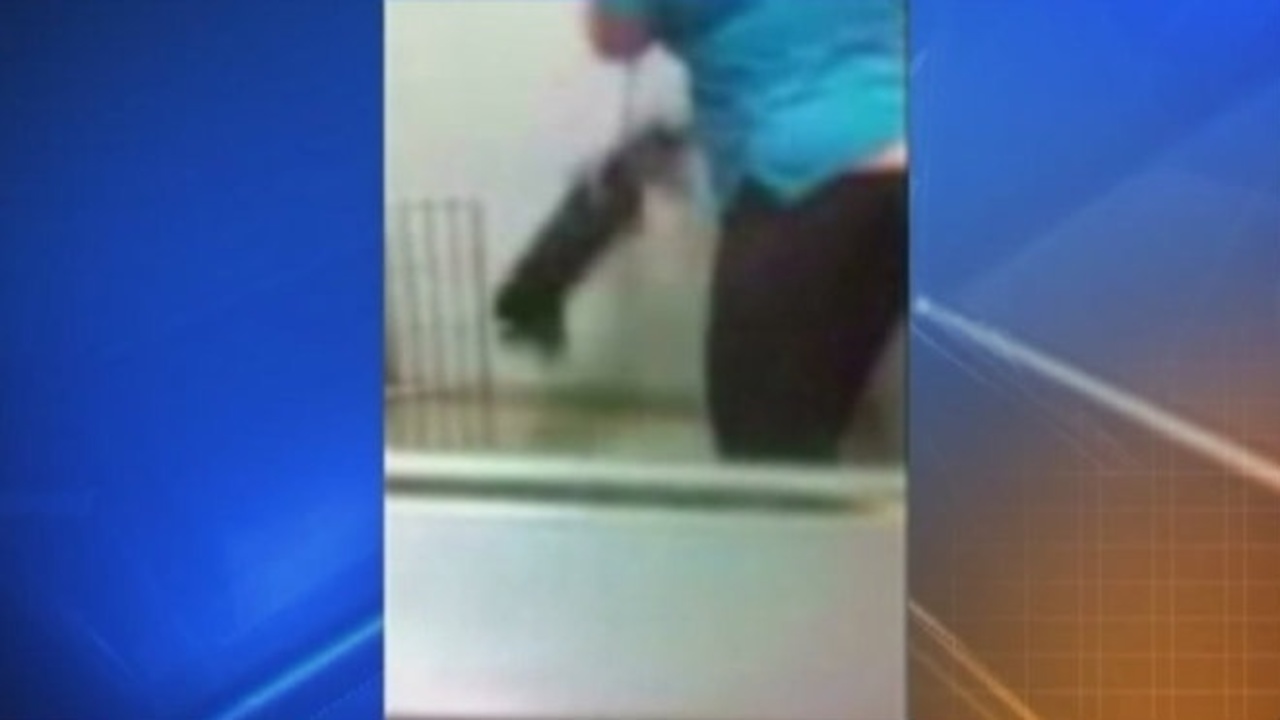 Video Dog slammed against wall at Orlando pet clinic