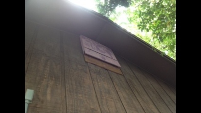 Bat Houses Combat Mosquito Problem Organically