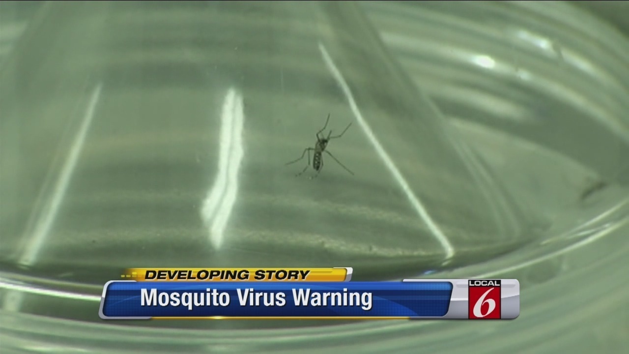 Health officials confirm case of Chikungunya fever in Brevard...