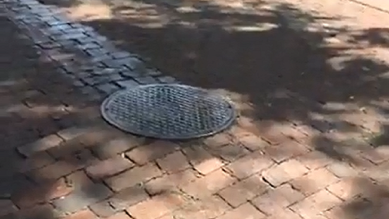 Dozens of potholes cover frustrated Palm Bay resident's street