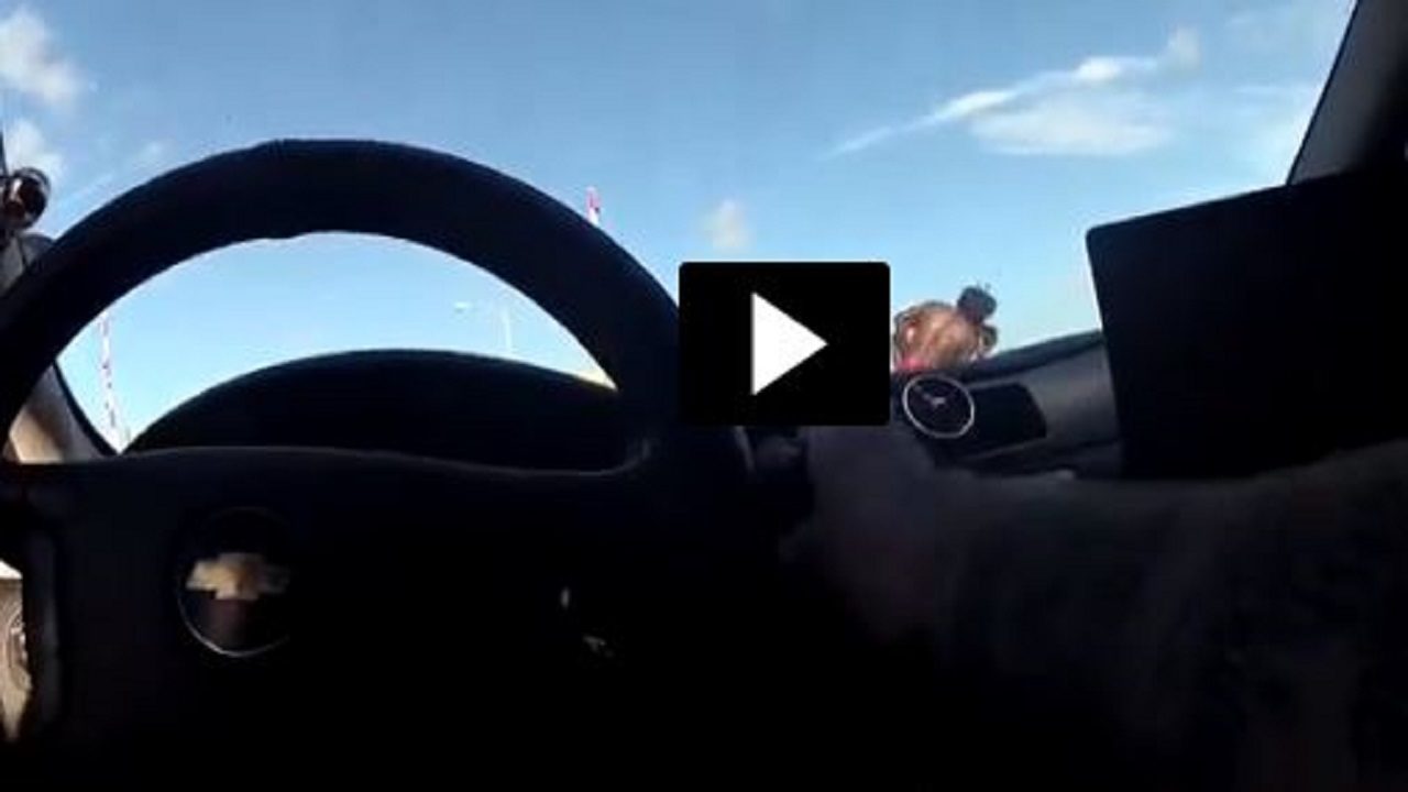 Video Man thrown off Daytona Beach bridge