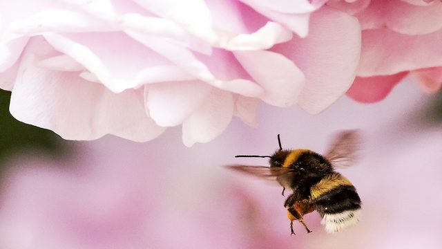 News 6 morning weather forecast -- 3/31/19