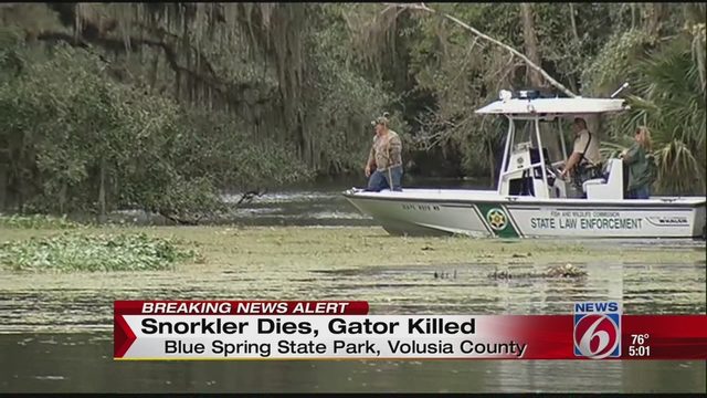 Divers find body of missing snorkeler at Blue Spring State Park