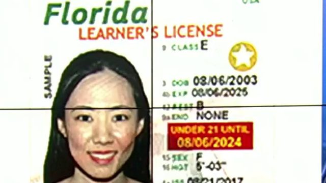 Florida Learners Permit >> Ask Trooper Steve Learner S Permit Needed If Over 18 Florida Learners Permit >> Ask Trooper Steve Learner S Permit Needed If Over 18