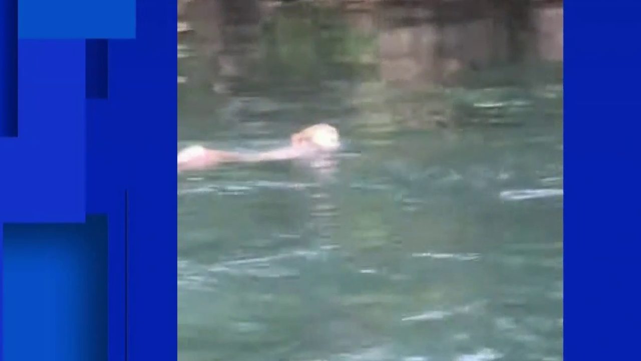 Kayaker shares video of monkeys doing cannonballs at Silver Springs